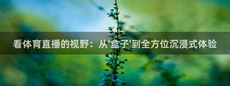 河豚直播在线看球：看体育直播的视野：从\'盒子\'到全方位沉浸式体验