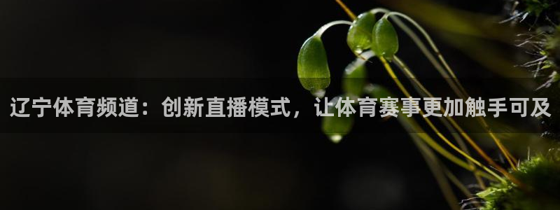 河豚直播体育直播：辽宁体育频道：创新直播模式，让体育赛事更加触手可及