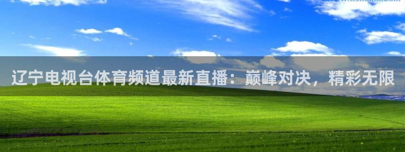 nba河豚体育直播：辽宁电视台体育频道最新直播：巅峰对决，精彩无限