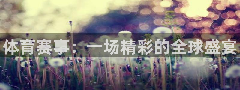 河豚足球直播网：体育赛事：一场精彩的全球盛宴