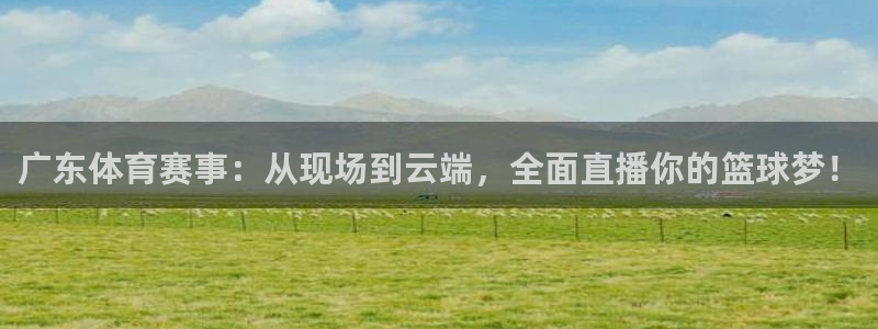 河豚体育nba直播下载：广东体育赛事：从现场到云端，全面直播你的篮球梦！