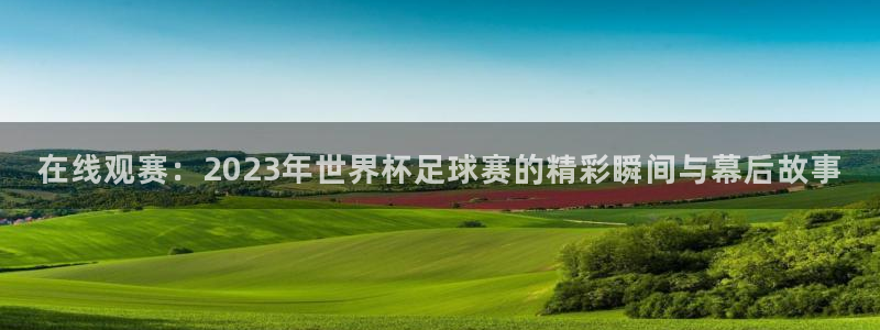 河豚体育直播cba免费下载：在线观赛：2023年世界杯足球赛的精彩瞬间与幕后故事