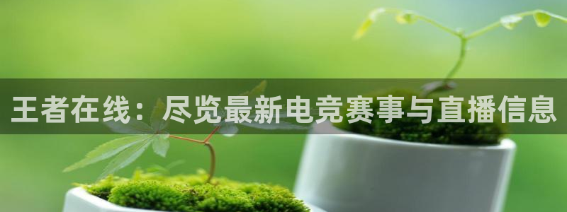 河豚体育直播app官网入口：王者在线：尽览最新电竞赛事与直播信息
