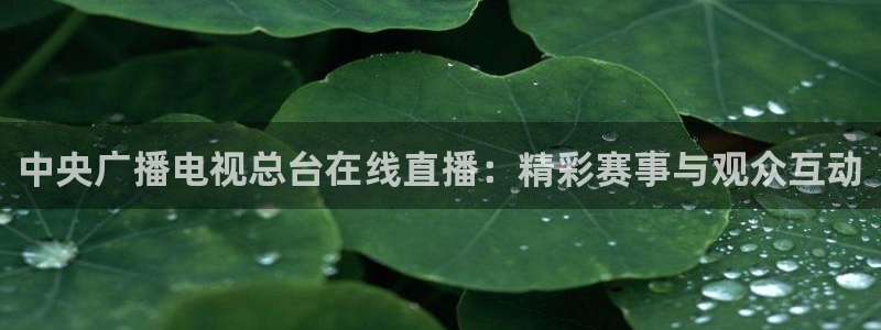 河豚足球直播网：中央广播电视总台在线直播：精彩赛事与观众互动