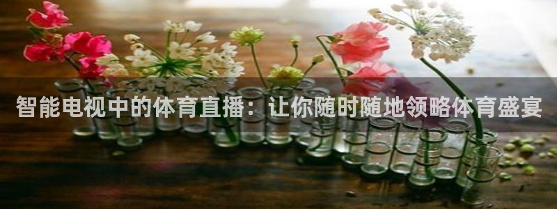 河豚体育直播官网：智能电视中的体育直播：让你随时随地领略体育盛宴