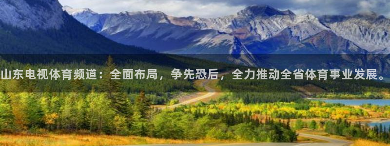 河豚体育：山东电视体育频道：全面布局，争先恐后，全力推动全省体育事业发展。