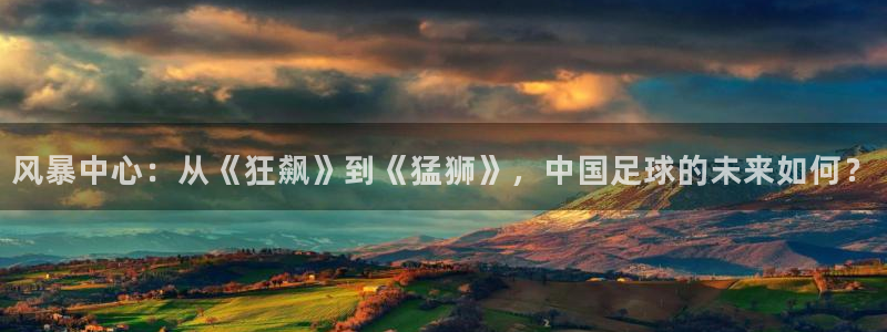 nba直播 河豚：风暴中心：从《狂飙》到《猛狮》，中国足球的未来如何？