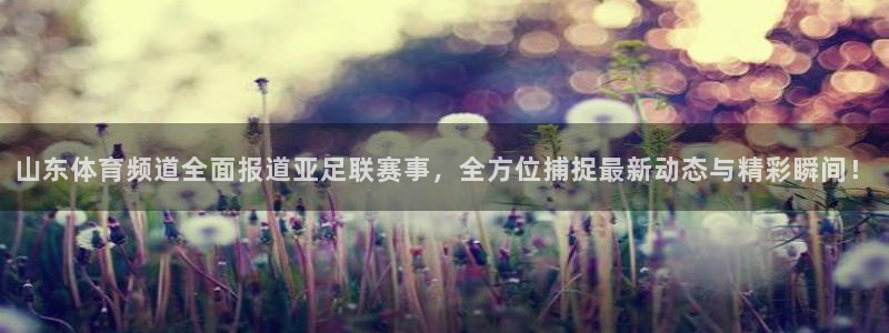 nba直播 河豚：山东体育频道全面报道亚足联赛事，全方位捕捉最新动态与精彩瞬间！