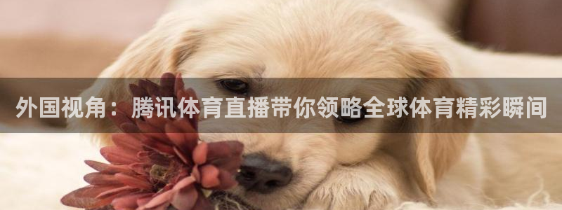 河豚搞笑：外国视角：腾讯体育直播带你领略全球体育精彩瞬间