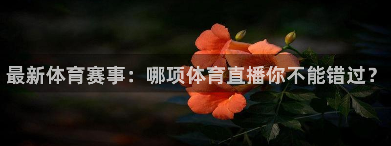 河豚体育免费直播：最新体育赛事：哪项体育直播你不能错过？