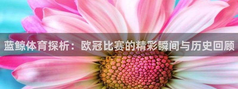 河豚体育直播免费：蓝鲸体育探析：欧冠比赛的精彩瞬间与历史回顾
