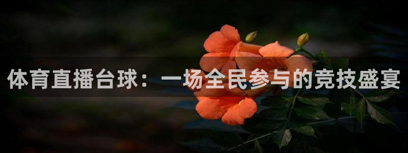 河豚体育直播免费观看：体育直播台球：一场全民参与的竞技盛宴