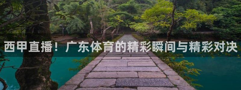 河豚体育直播app官网入口：西甲直播！广东体育的精彩瞬间与精彩对决