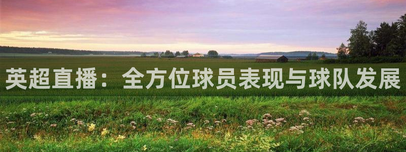 河豚体育app下载：英超直播：全方位球员表现与球队发展